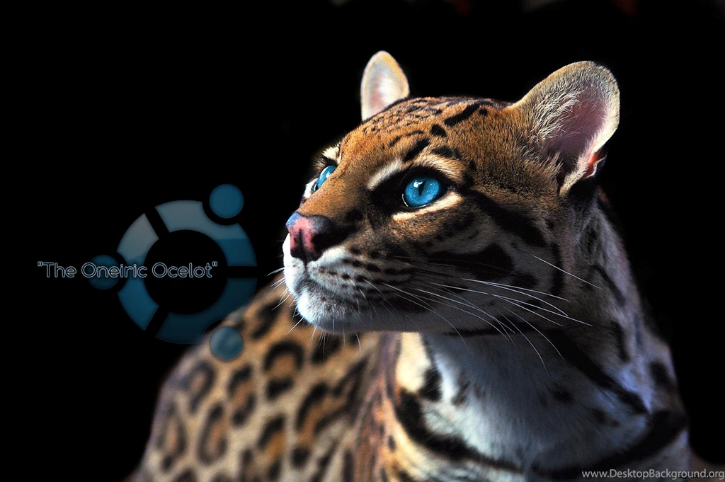 Ubuntu 11.10 Oneiric Ocelot Wallpapers   Tux planet