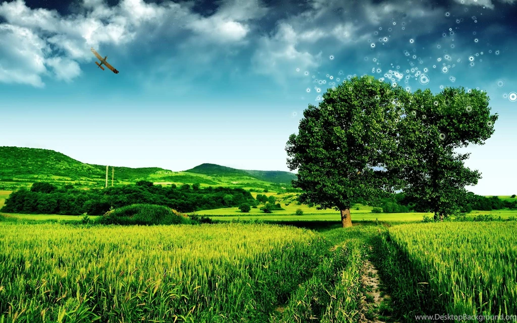 PC Background Images Wallpapers Zone