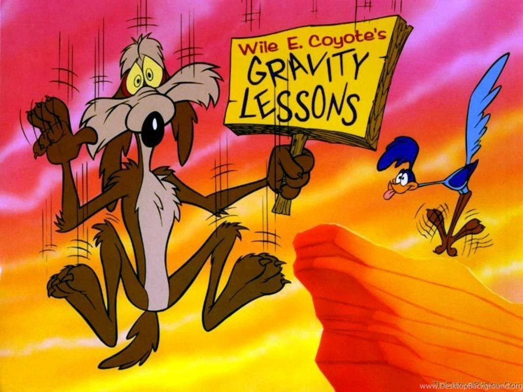 Best Road Runner HQ Pictures