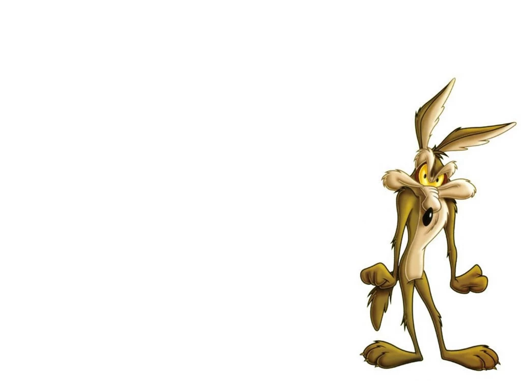Looney Tunes Wile E Coyote And Road Runner