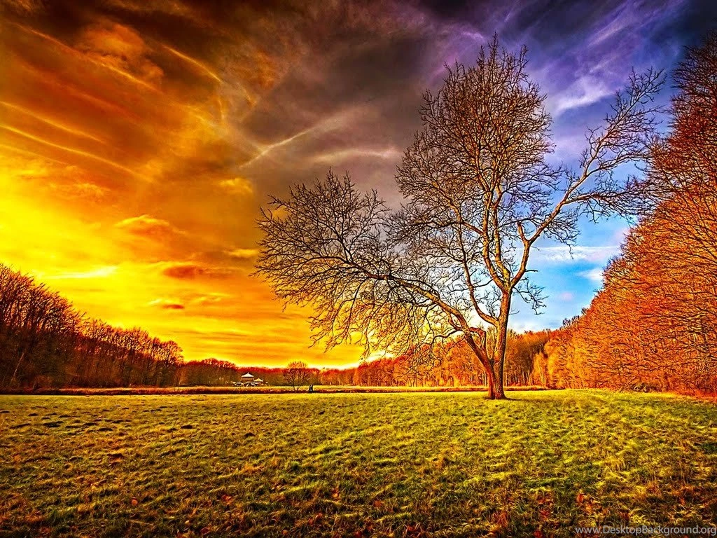 Top Downloaded Wallpapers Desktop / Blafoo.org