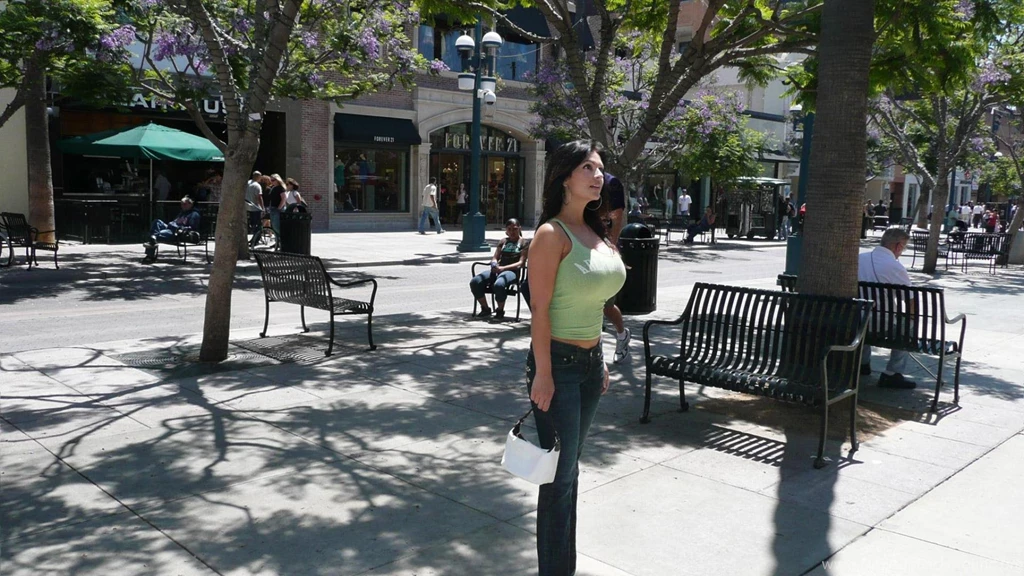 Denise Milani At Santa Monica Wallpapers   (