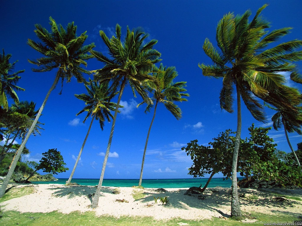 Desktop Wallpapers » Natural Backgrounds » Bacardi Beach, Cayo ...