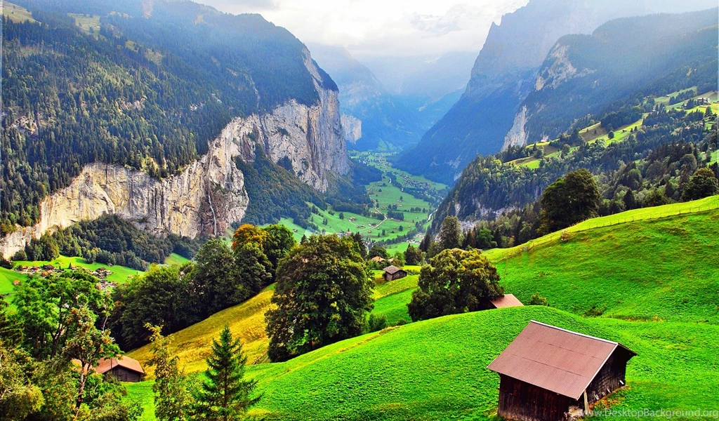 Hd Wallpapers, Flowers, Nature Images, Nature Stock Photos, Plants ...