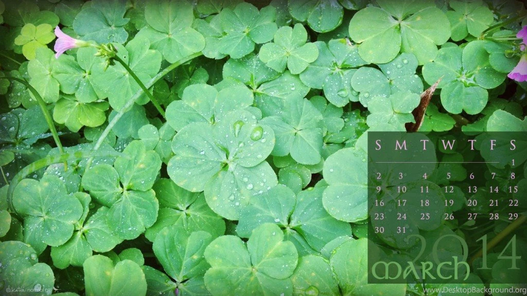 Freebie Download: March 2014 Calendars & Wallpapers