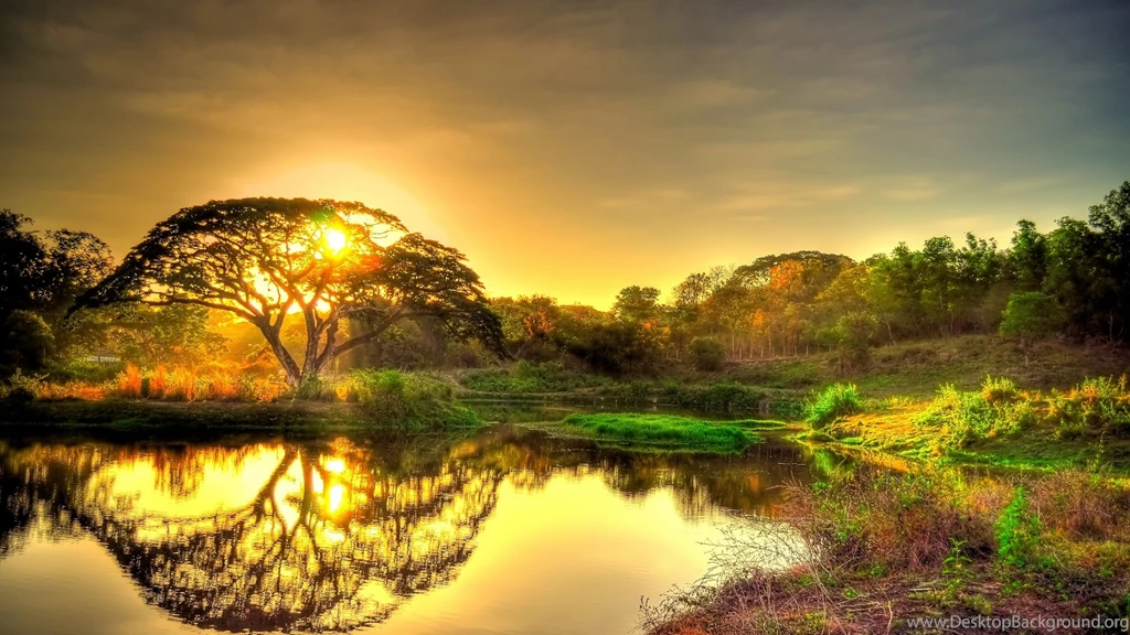 Nature Full HD 1080p Wallpapers 1920x1080 Wallpapers UC FORUM ...