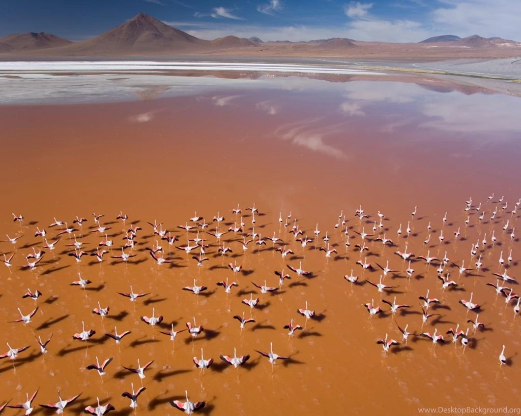 Apple OS X Wallpapers Hd 1280x1024 Laptop Wallpaper