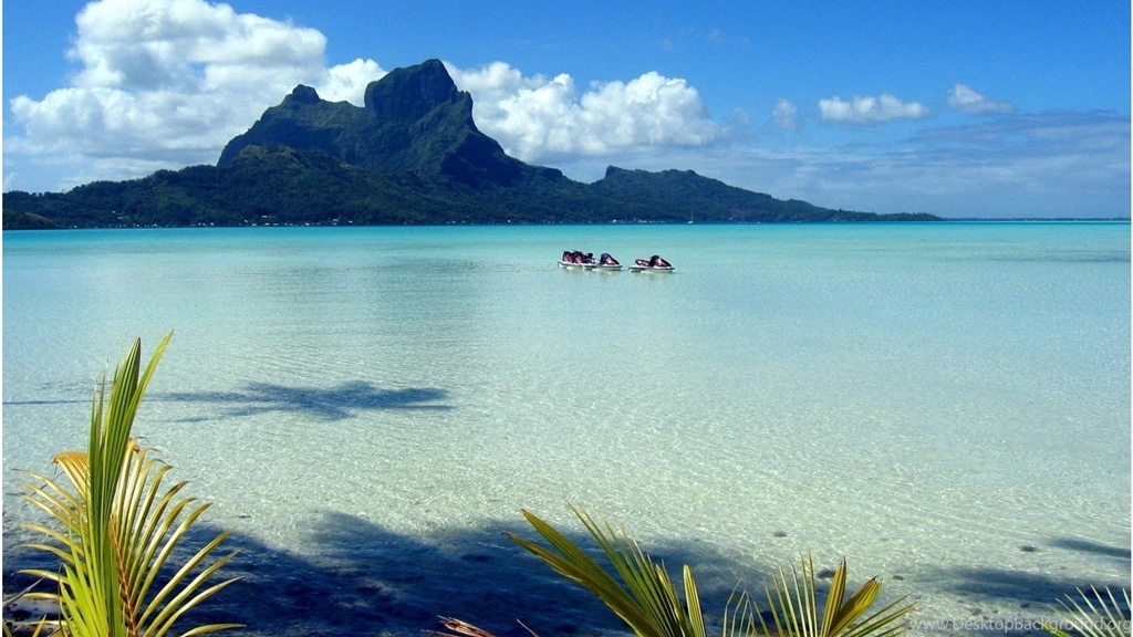 Beach Wallpapers Page 2: Palm Tree Beach Natrue Plam Sand ...