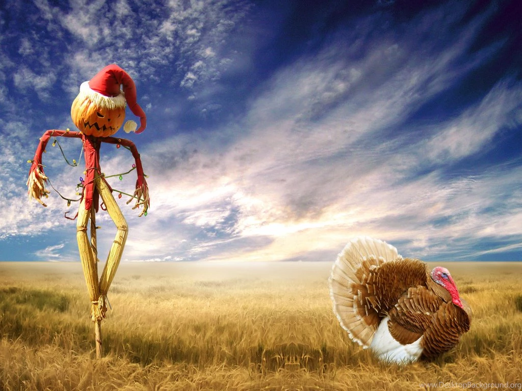 Funny Christmas Scarecrow