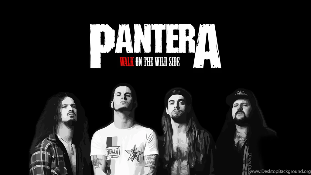 14 Quality Pantera Wallpapers, Music