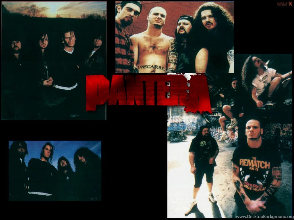 PANTERA   BANDSWALLPAPERS