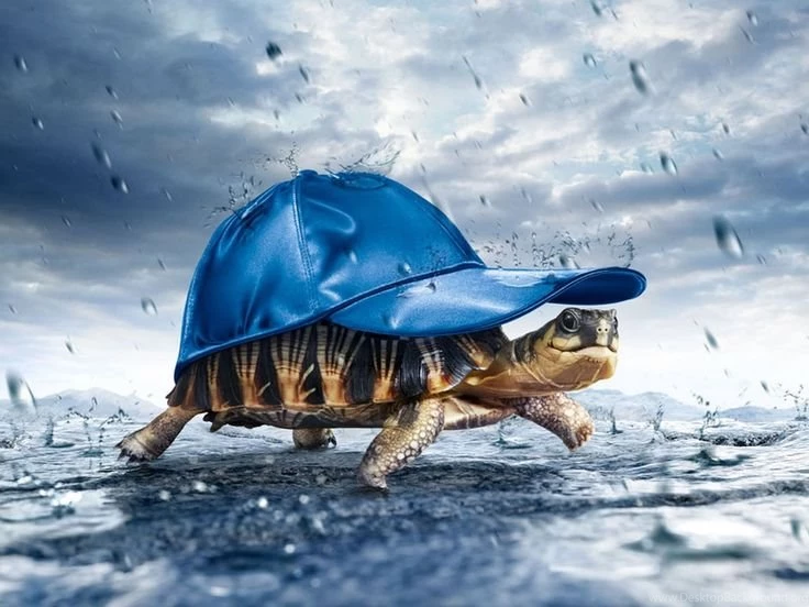 3d Wallpapers Hd For Your Desktop,laptop And Android Backgrounds ...