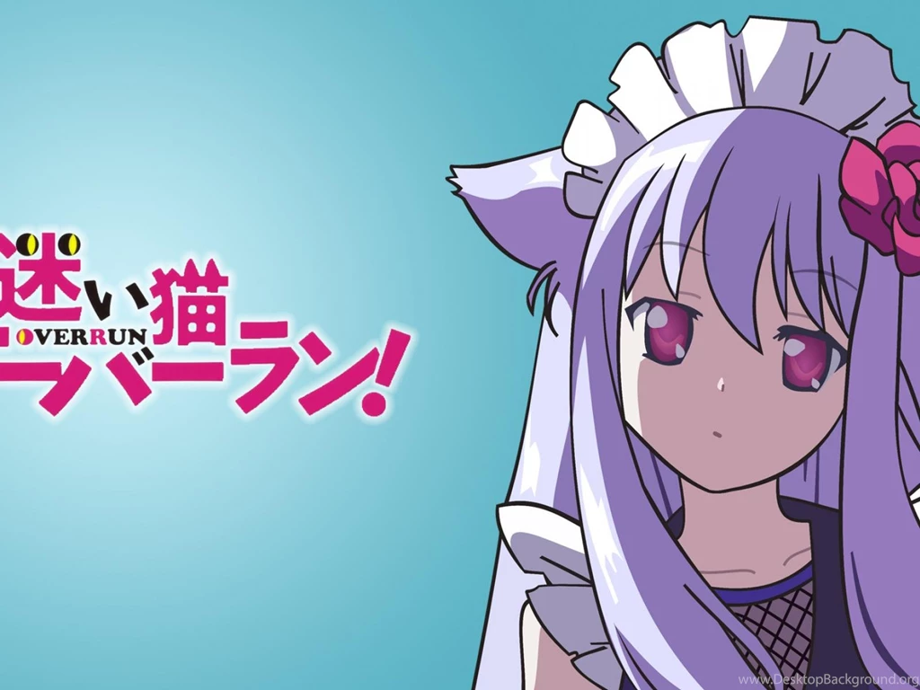 Animal Ears Mayoi Neko Overrun Kiriya Nozomi