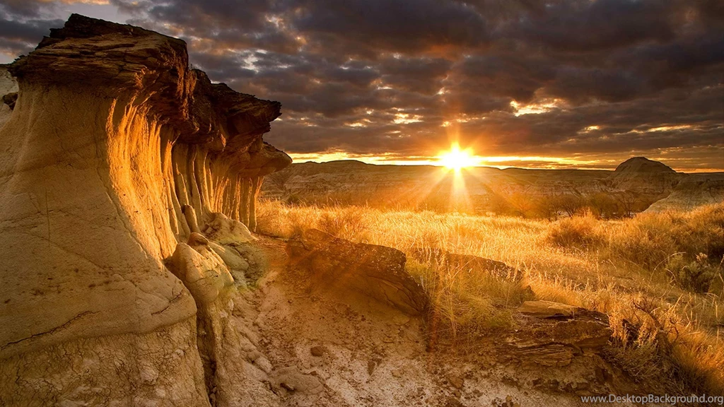 Bing Wallpapers HD CuteWallpaper.org