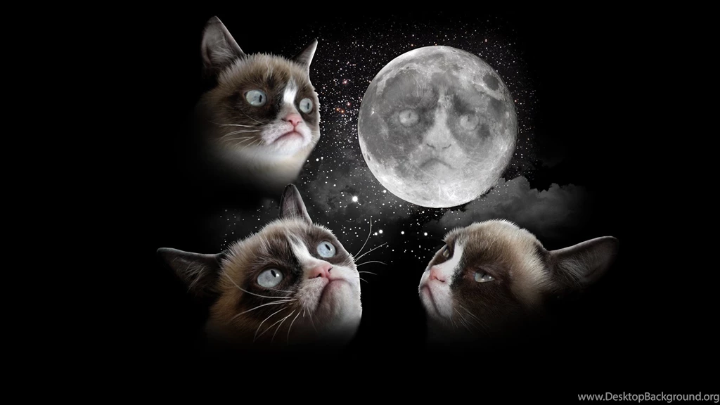 3Tard Moon Imgur