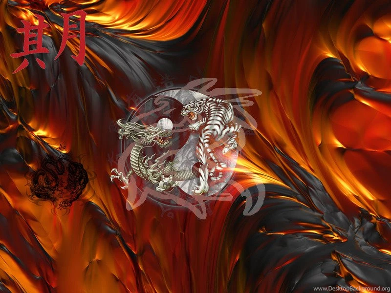 Dragon Vs Tiger Micketo Wallpapers (29966749) Fanpop