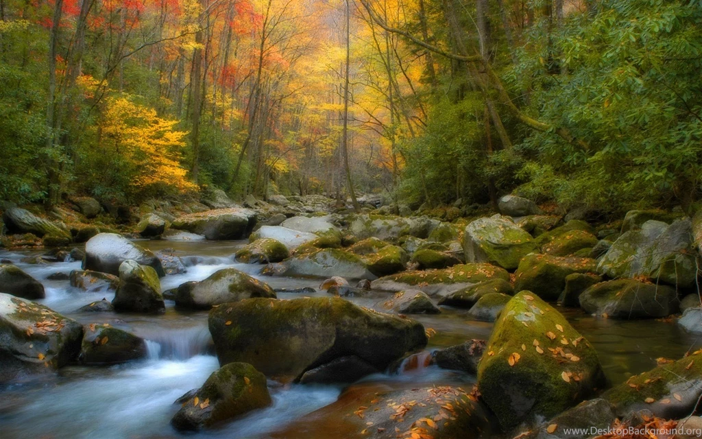 Mac Wallpapers