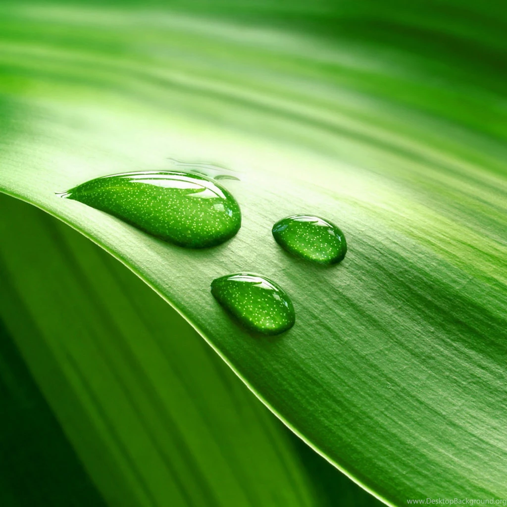Drop Of Water   Nature iPad 3 Wallpapers