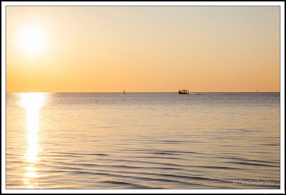 Good Morning Cedar Key! SeeCedarKey