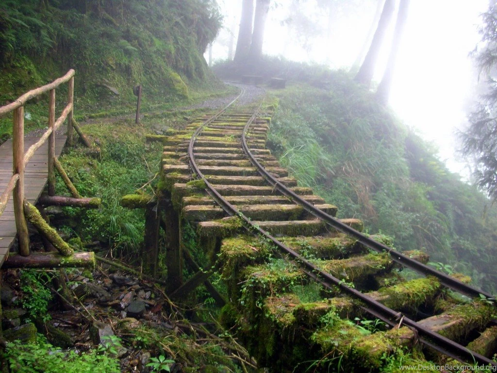 Taiping Mountain Forest Railway HD Wallpapers