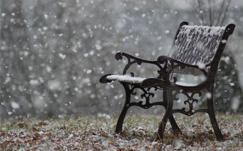 Waiting For You Snow Fall Wallpapers For Desktop And Mobile