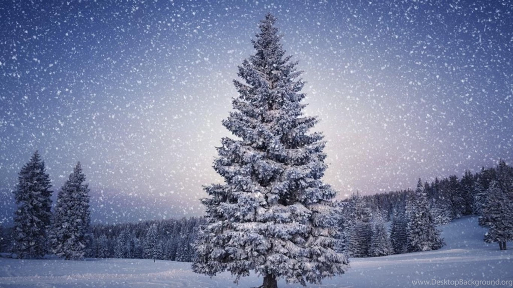 Download Desktop Wallpapers Forest Winter Evening Snow Fall