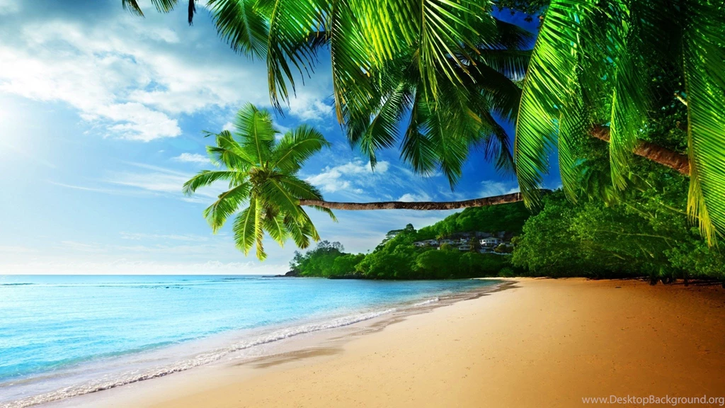 Tropical Beach Pictures Hammock Wallpapers For Android   Kemecer.com