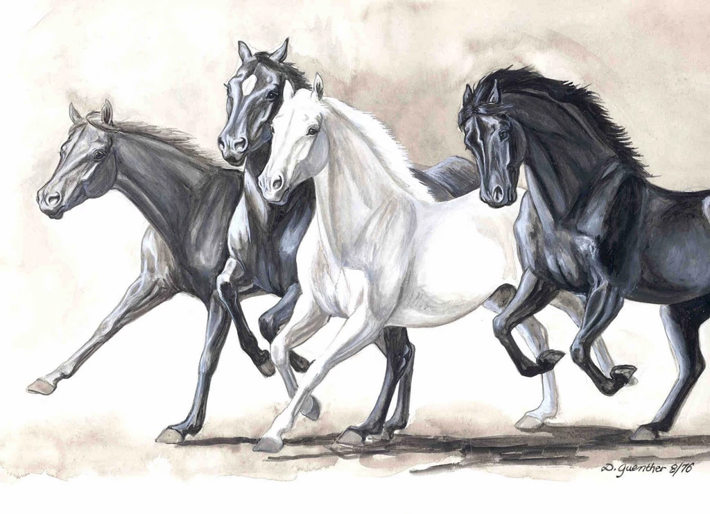 Free Download Art White Horse Painting Digital Horse Wallpapers 03 ...