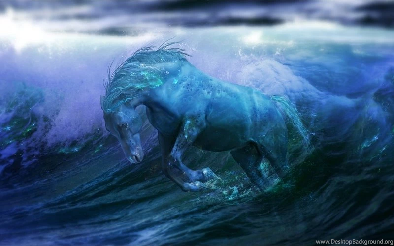 Snow Horses 1600x1200 Wallpapers – Animals Horses HD Desktop Wallpapers