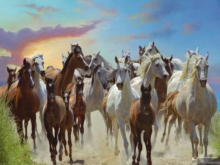Art Of Horses