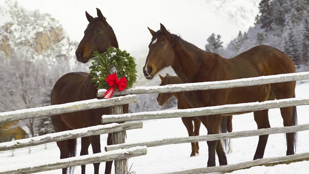 Desktop Images Of Christmas Horses Download