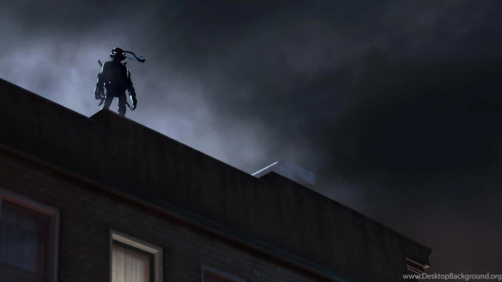 Mutant Ninja Turtles Tmnt Roof Leonardo Hd Wallpapers   (