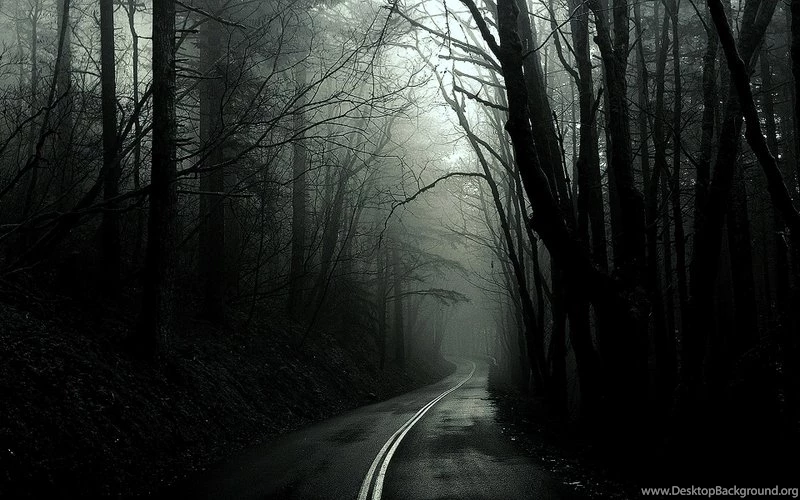 Dark,black And White Black And White Dark Wtf Geek Funny Evolution ...