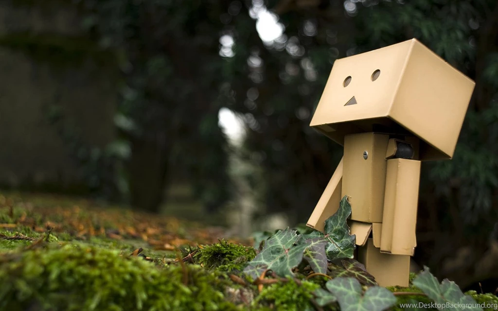Lovely Box Danbo Wallpapers 3 - Other Wallpapers Free Download ...