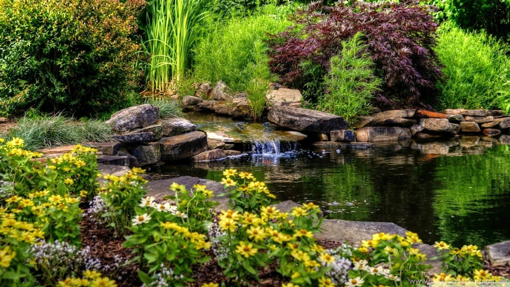 Flowers: Lovely Pond Flowers Nature Small Desktop Backgrounds For ...