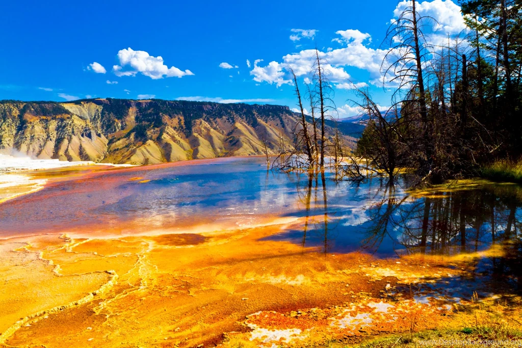 Yellowstone National Park Wallpapers