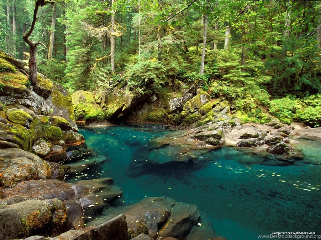 Ohanapecosh River Mt Rainier National Park Washington Beaches ...