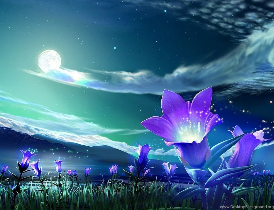 Gallery Nice Wallpapers