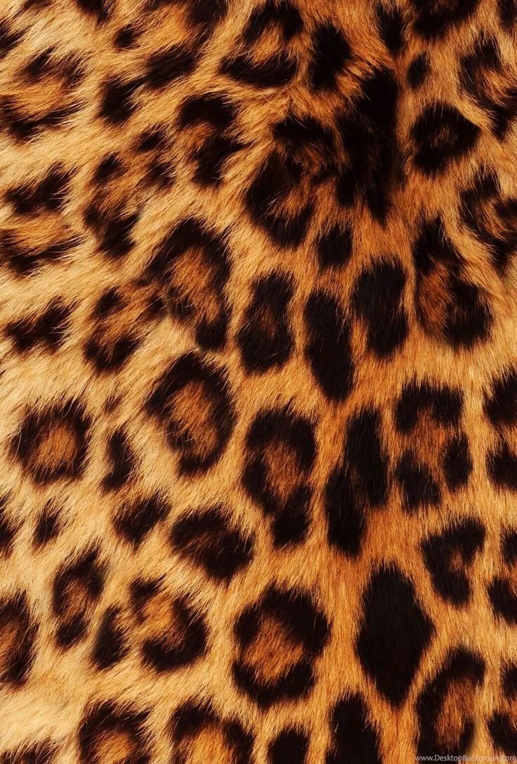 Wallpapers iPhone 6 Plus Leopard