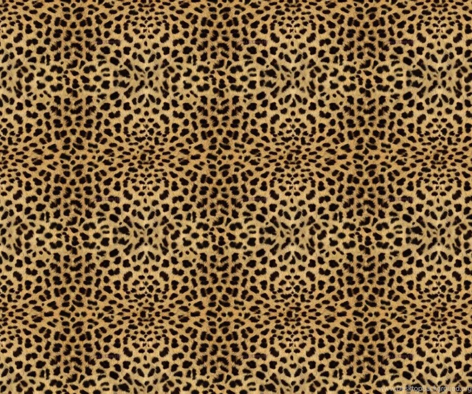 Download Free For Android Screensaver Cheetah Print