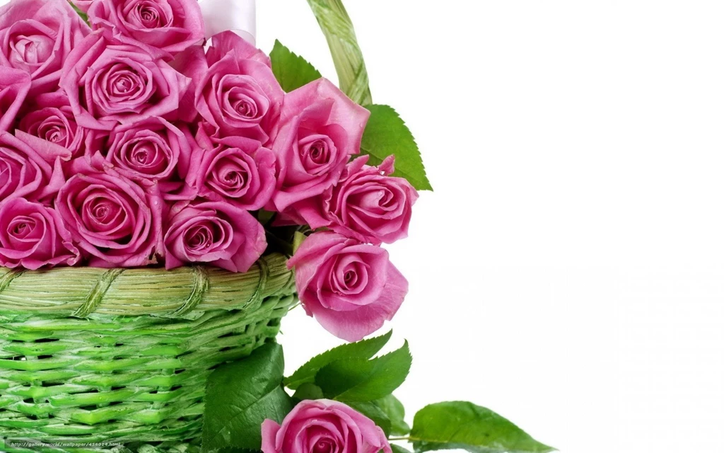 456014_rozy_cvety_krasivye_rozovye_buket_korzina_korzinka_1680x1050_www.Gde Fon.com.jpg