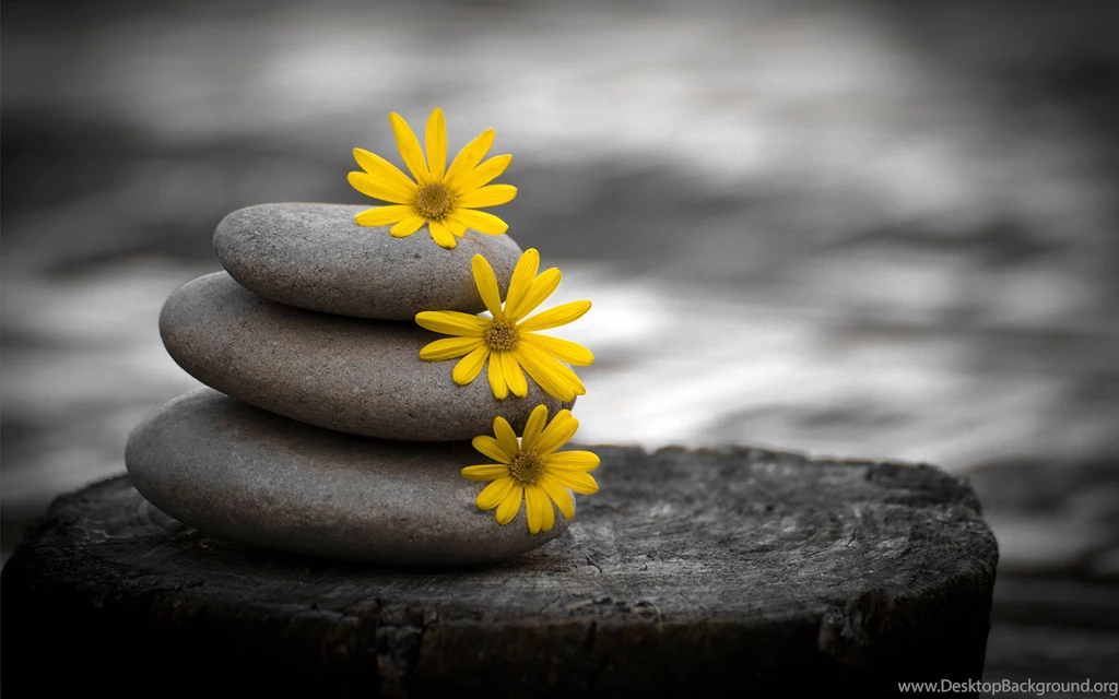 Download Artistic Wallpapers 2754 1920x1200 Px High Resolution ...