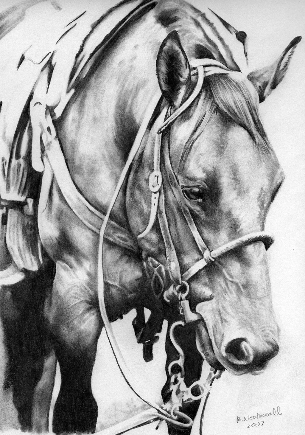 Repro Of Quarter Horse By Ryerd On DeviantArt