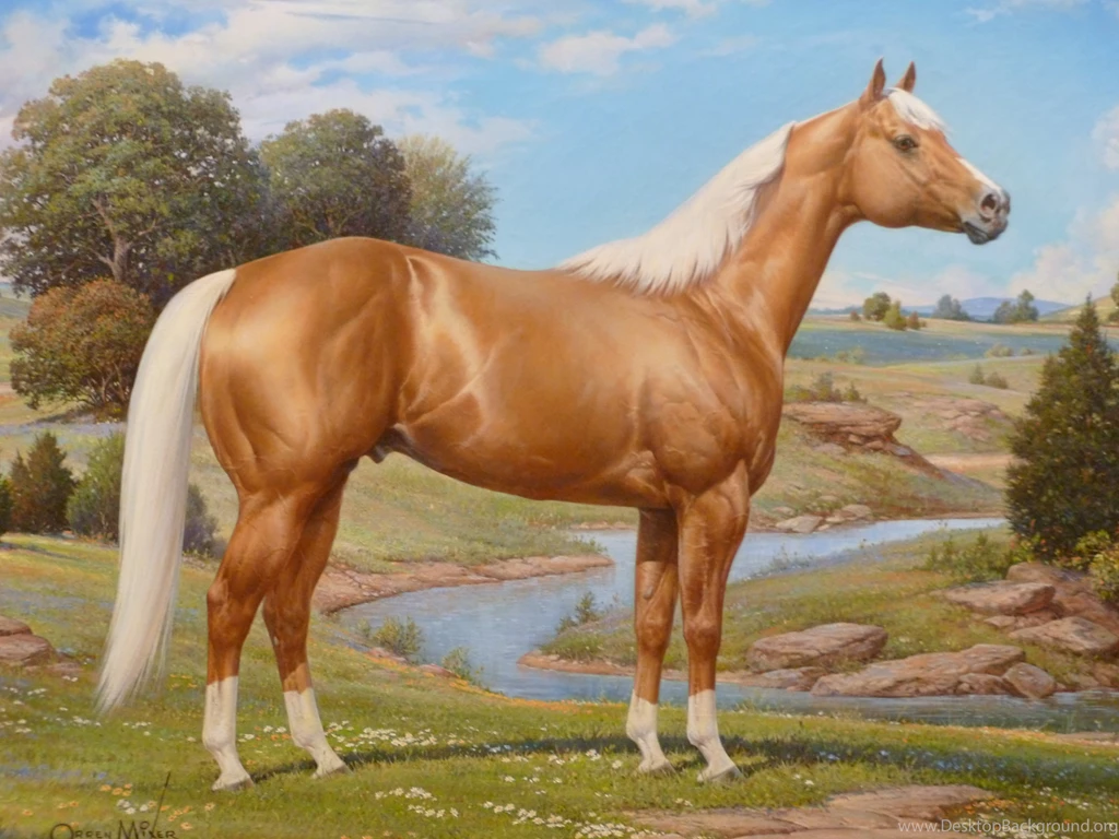 American Quarter Horse Images