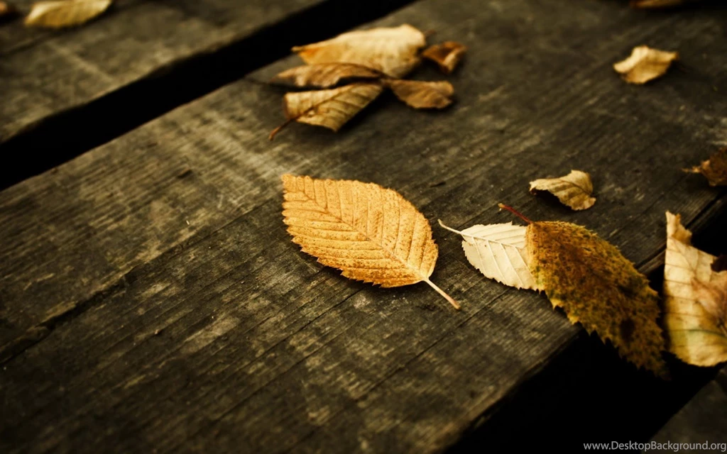 Best HD Wallpapers 10 Dekstop