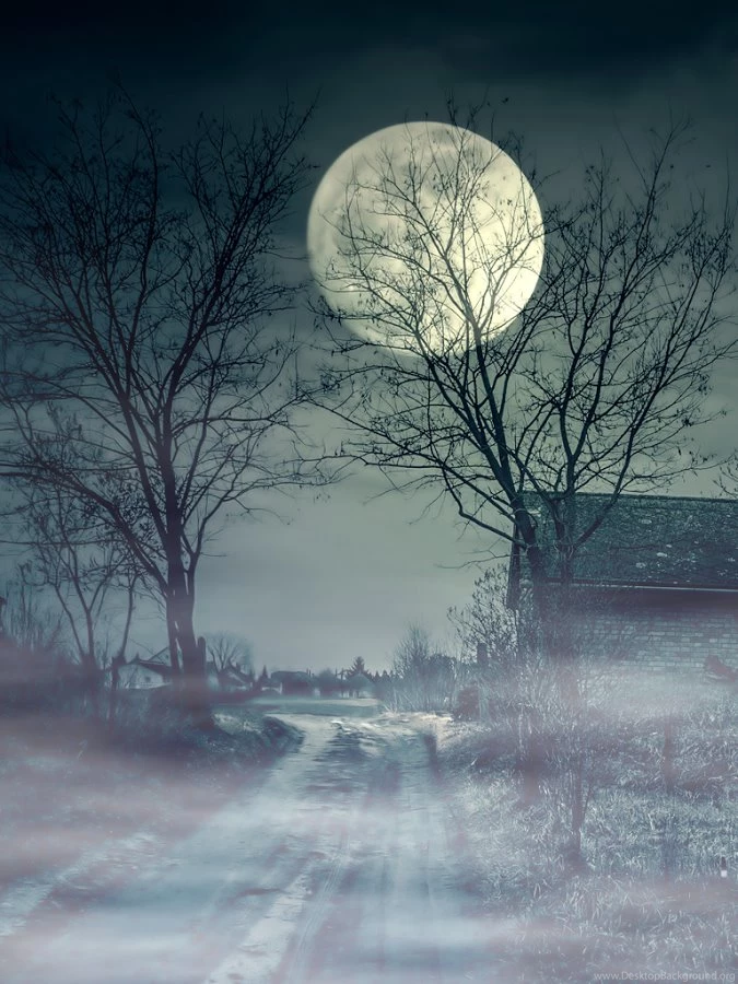 Haunted House Wallpapers Android Apps On Google Play