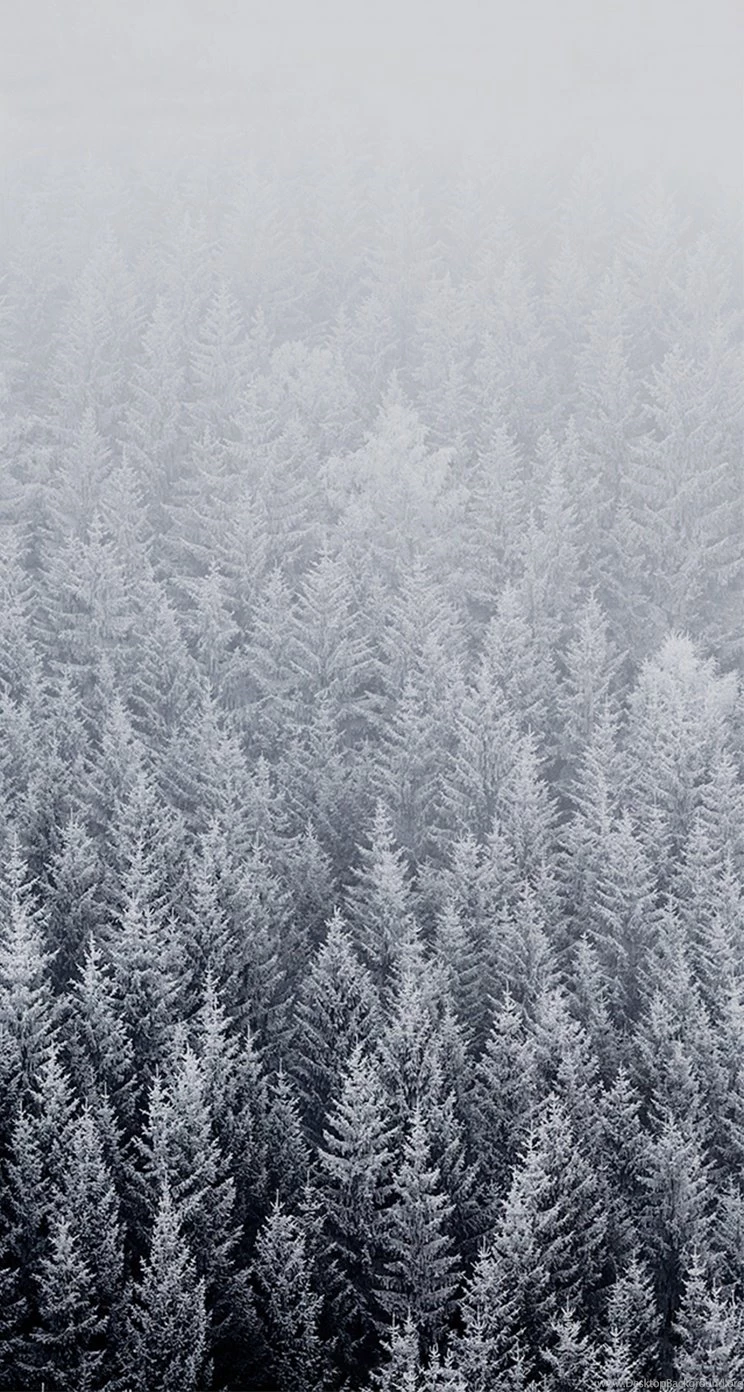 IOS 8 Default Forest Snow Parallax iPhone 5 Wallpapers / IPod ...