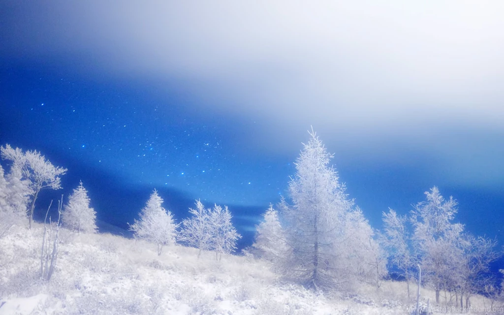 Wallpapers Exotice De Craciun Windows Hd 2560x1600