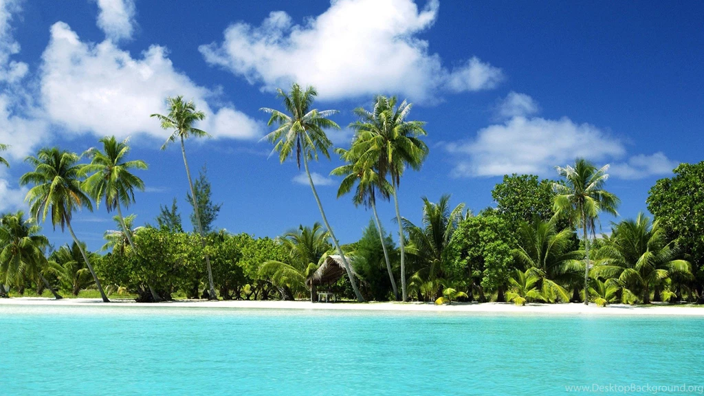 Clouds Beach Palm Trees