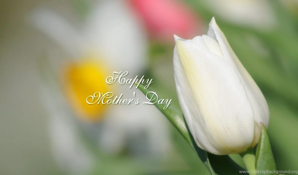 Unique Collection Of Mother's Day 2016 HD Wallpapers Mothers Day ...